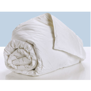 Πάπλωμα Πουπουλένιο Ημίδιπλο Palamaiki ΗΟΜΕ Aloe Vera Fresh White 5205857090050