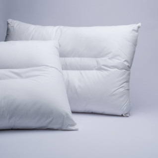 Μαξιλάρι Ανατομικό Palamaiki HOME ANATOMIC-ALOE VERA 5205857095529